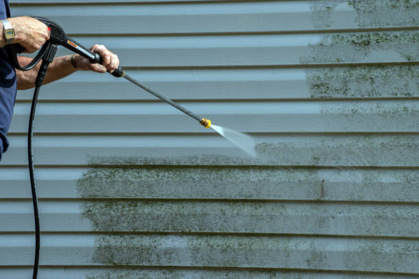 Best Driveway Cleaning and Restoration in Farmville, NC